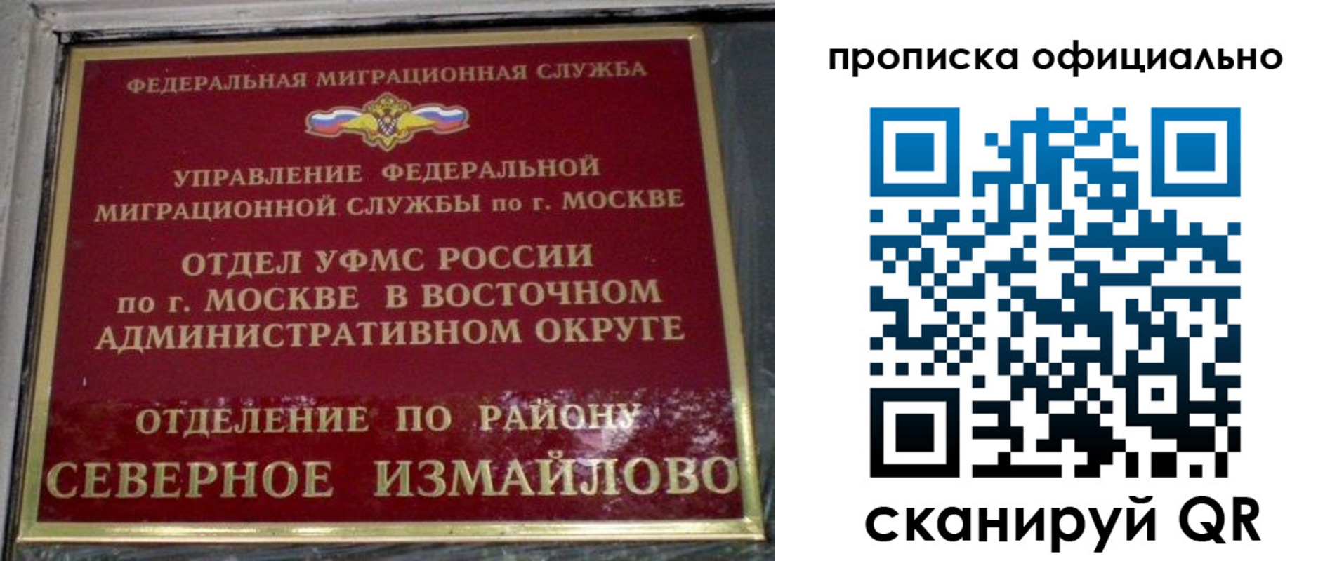 временная регистрация поиск в Жукове